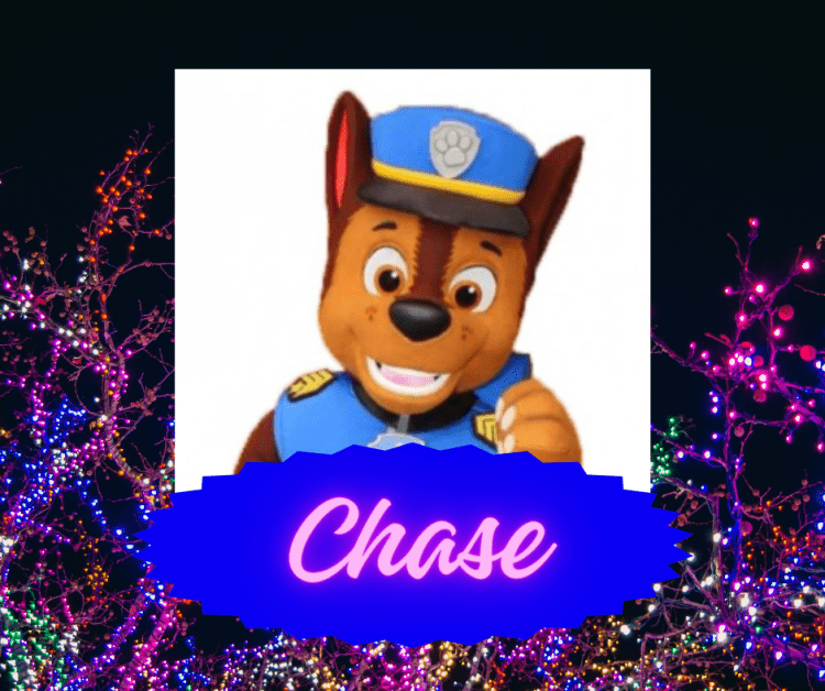 Chase (Pat'Patrouille)